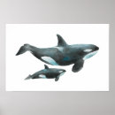 Search for orca posters Ocean