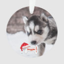 Search for alaskan husky christmas tree decorations Puppy