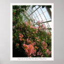 Search for bougainvillea art Pink