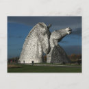 Search for kelpy postcards Horse