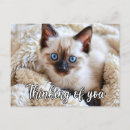 Search for i miss you postcards Cats