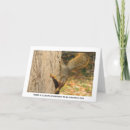 Search for squirrel note cards Wildlife