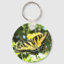 Search for ave accessories Photography