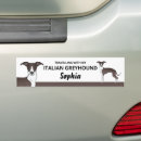 Search for seals bumper stickers Cute