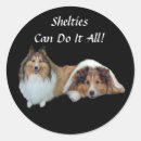 Search for sheltie stickers Sheepdog