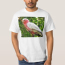 Search for galah clothing Parrot