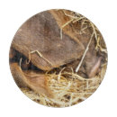 Search for pig chopping boards Animals