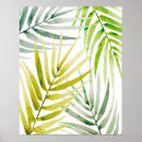Search for green palm leaf posters Leaves