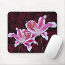 Search for stargazer lily electronics Nature