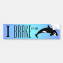 Search for orca bumper stickers Killer whale