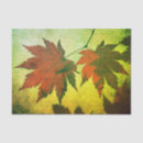 Search for fall leaf tissue paper Red