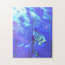Search for angelfish Underwater