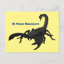 Search for scorpion postcards Stinger