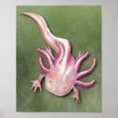 Search for axolotl art Amphibian