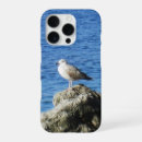 Search for seagull beach iphone cases Bird