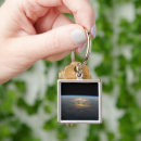Search for cloudys key rings Earth