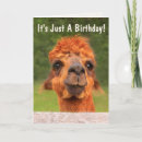 Search for funny llama birthday cards Farm