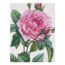 Search for green flowers posters Botanical