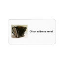 Search for instrument return address labels Accordion