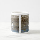 Search for migratory mugs Waterfowl
