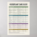 Search for houseplant posters Indoor plants
