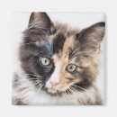 Search for 2015 magnets Cute