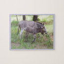 Search for donkey puzzles Field