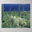 Search for pipe organs posters Landscape
