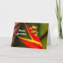 Search for red eyes cards Wildlife