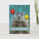 Search for groundhog day birthday cards Rodent