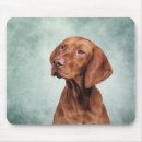 Search for vizsla gifts Nature