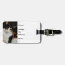 Search for hang accessories Kitten