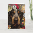 Search for coonhound christmas cards Pet