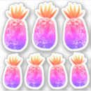 Search for pineapple fruit stickers Pink