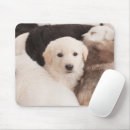 Search for piles mousepads Dog
