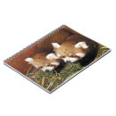 Search for red panda notebooks China