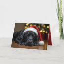 Search for black labrador christmas cards Dog