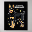 Search for beauce Animal