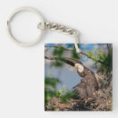 Search for bald eagle key rings Nature