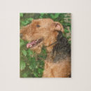 Search for airedale terrier puzzles Dog