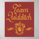 Search for harry potter posters Quidditch