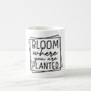 Search for plante mugs Motivation