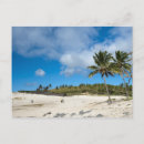Search for rapa nui postcards Latin
