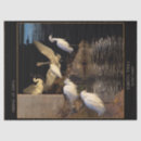 Search for egrets photography Herons