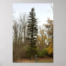 Search for tall photography Outdoors