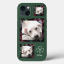 Search for irish luck lucky shamrocks iphone cases Green