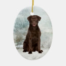 Search for chocolate labrador christmas tree decorations Animal