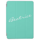 Search for mint green ipad cases simple