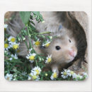 Search for hamsters mousepads Pet