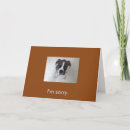 Search for sorry cards Boyfriend